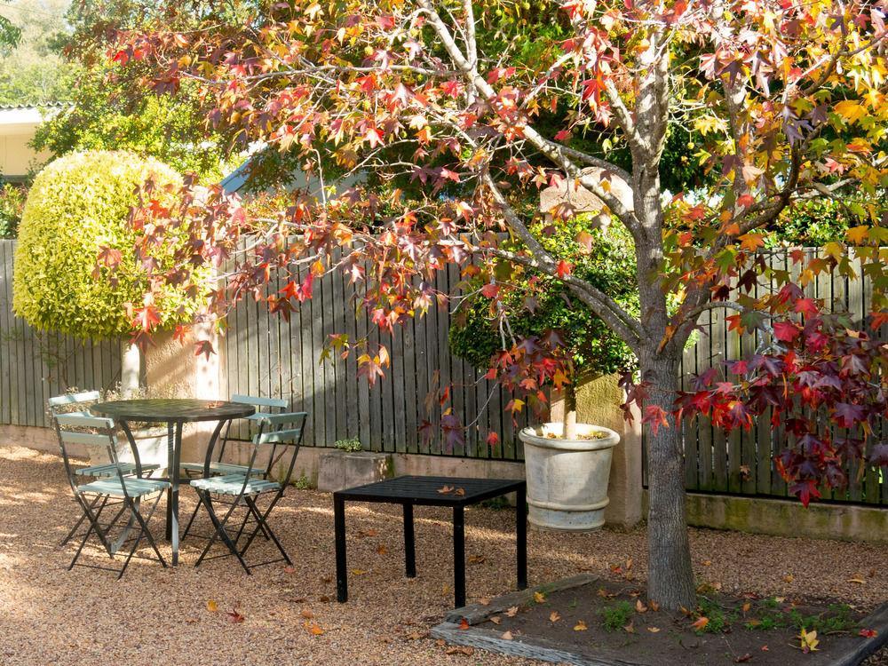 Babette Bed&Breakfast Swellendam Exterior foto