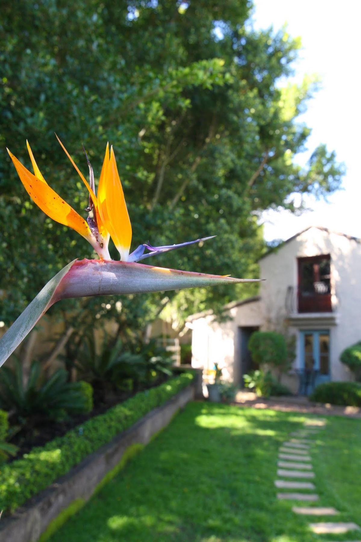 Babette Bed&Breakfast Swellendam Exterior foto