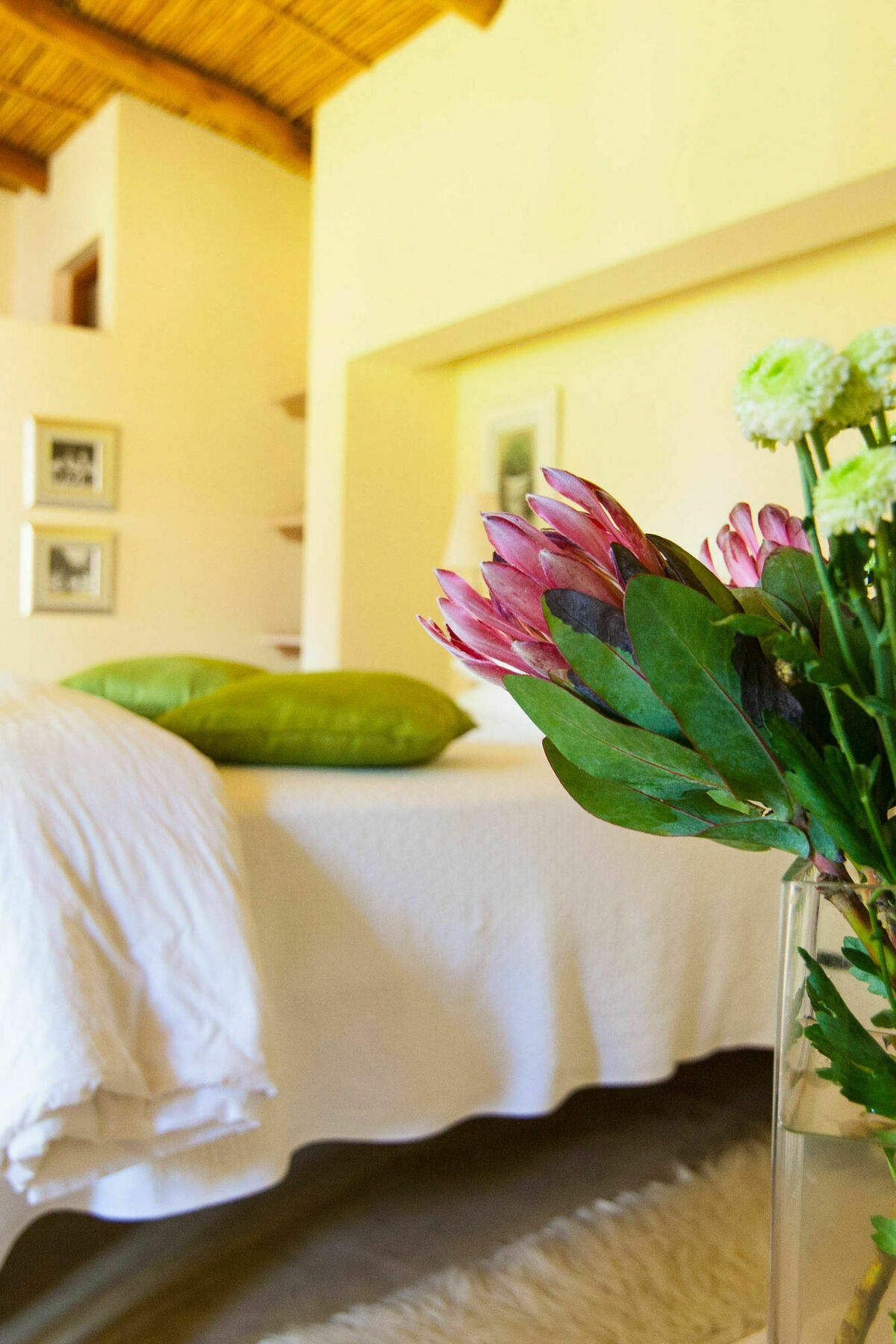 Babette Bed&Breakfast Swellendam Exterior foto